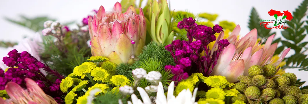 Foto flores Tello