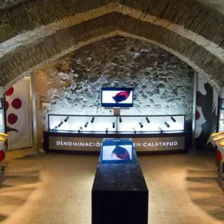 Museo de La Dolores Calatayud Vinos