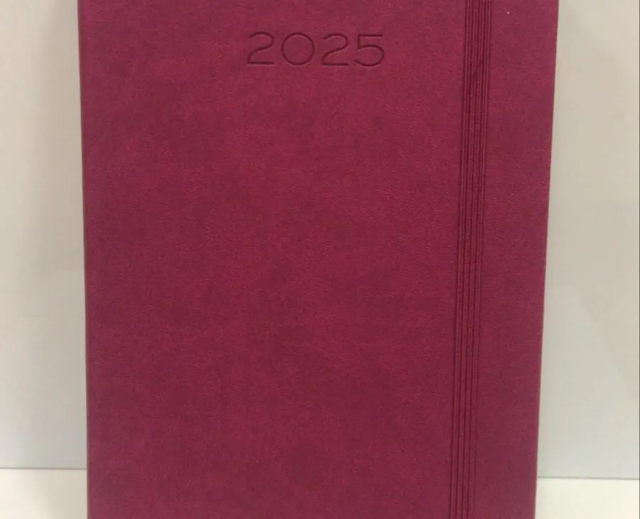 Agenda 2025 Roja