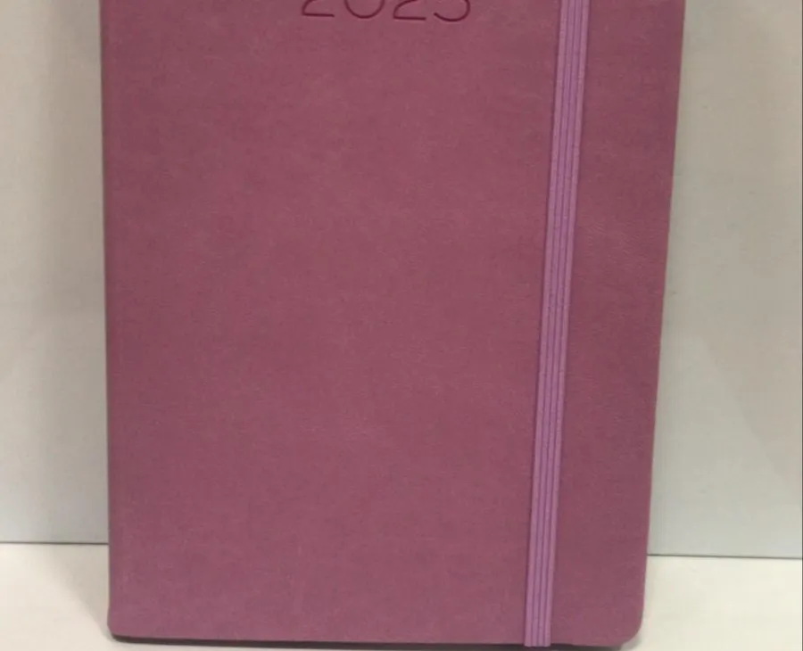 Agenda 2025 Rosa Pastel