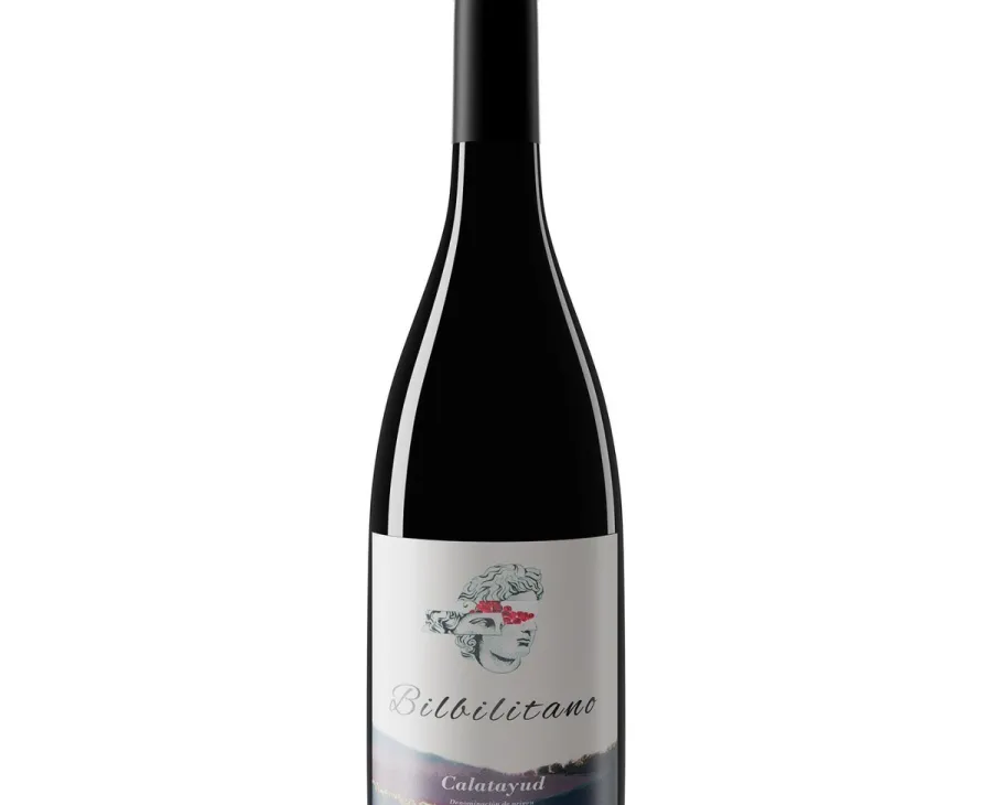 Bilbilitano